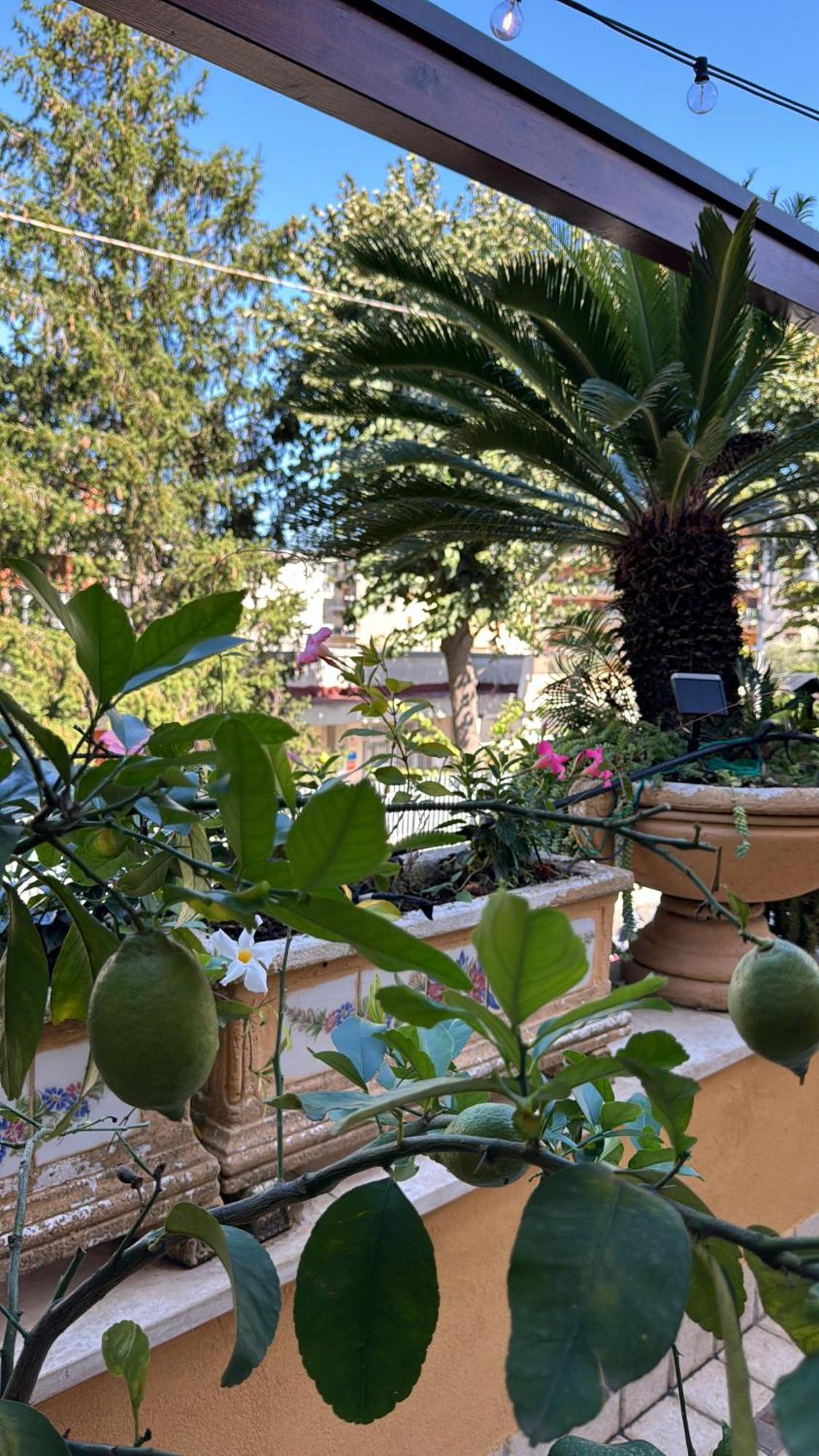 Relais Sorrento Terrace And Relax Bed & Breakfast Ngoại thất bức ảnh